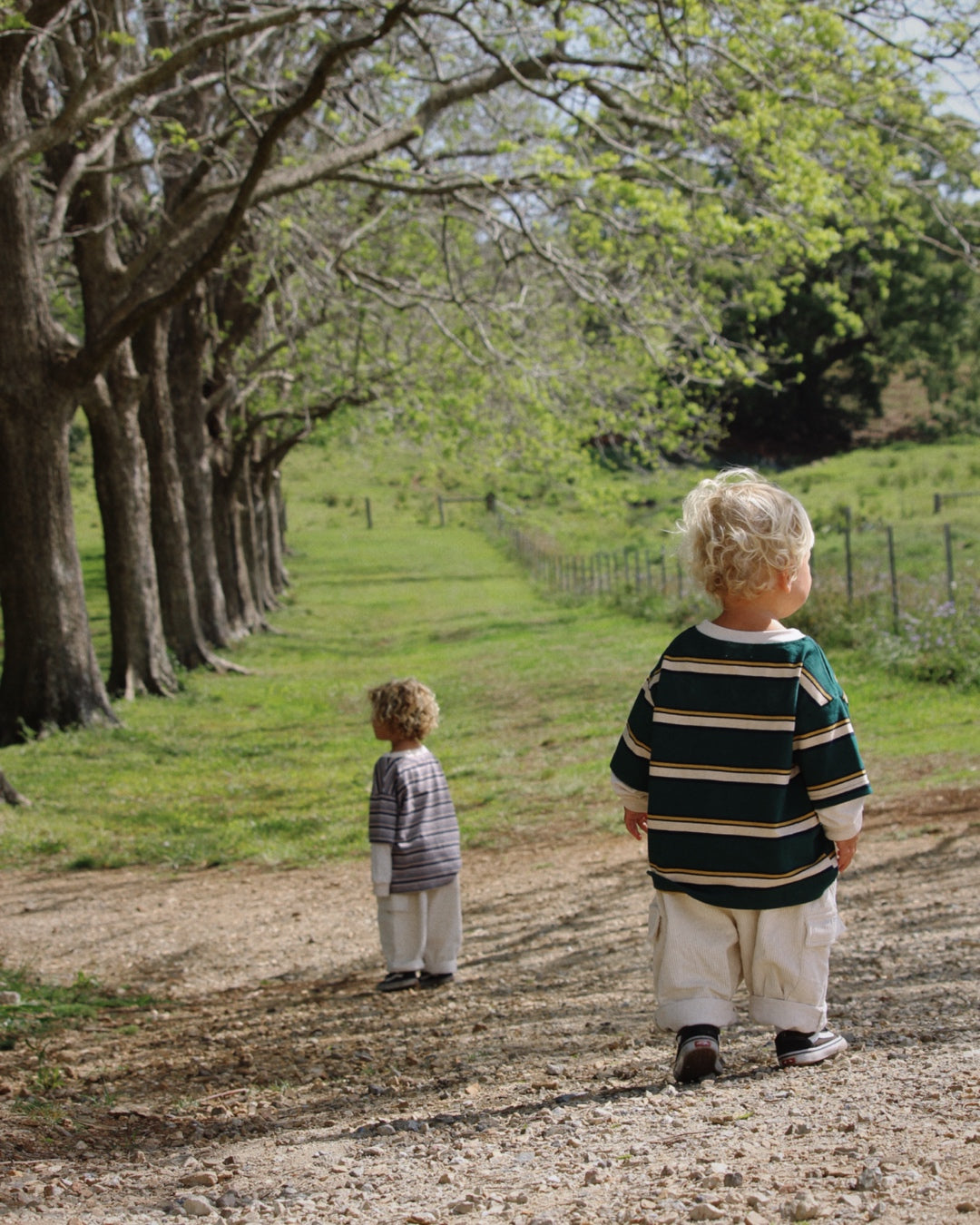 Old School Long Sleeve | Green Stripe