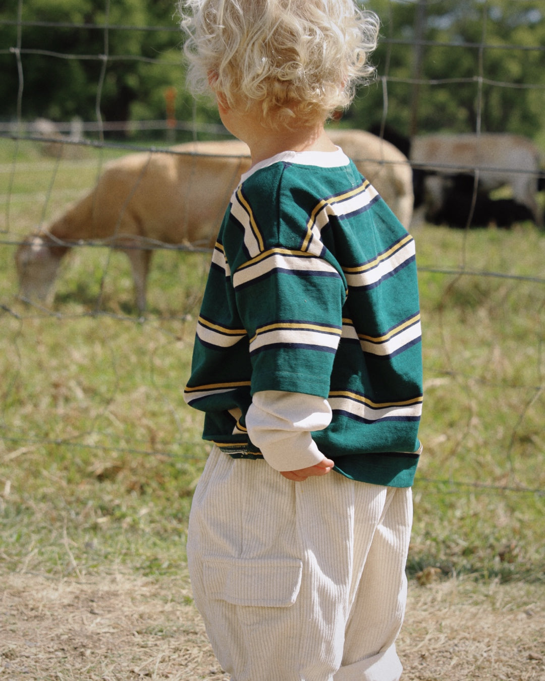 Old School Long Sleeve | Green Stripe