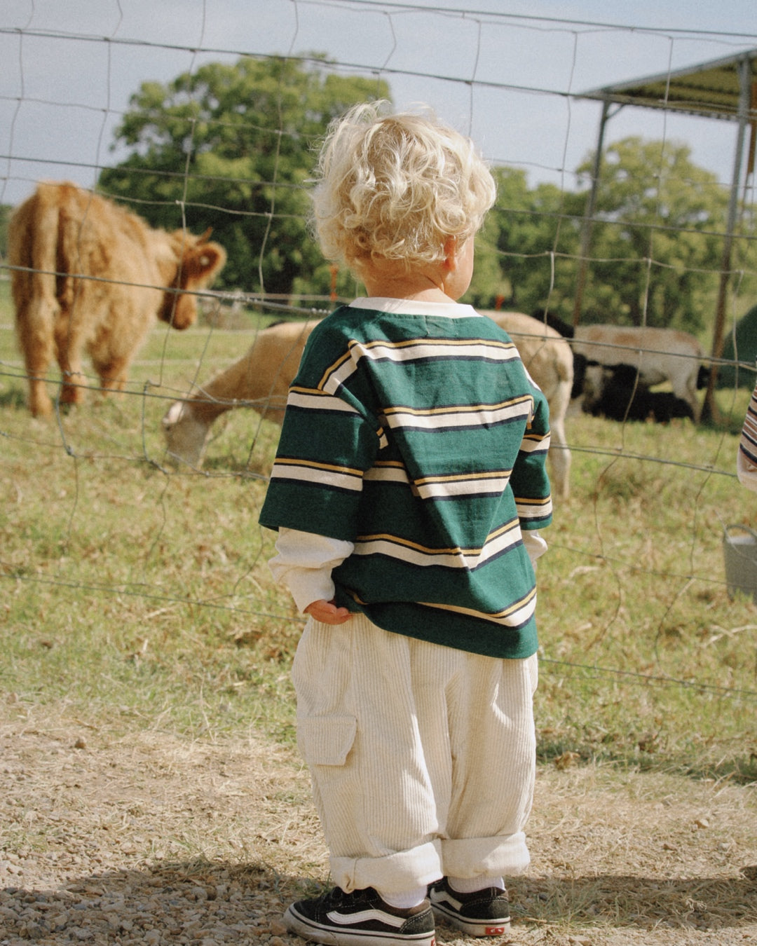 Old School Long Sleeve | Green Stripe