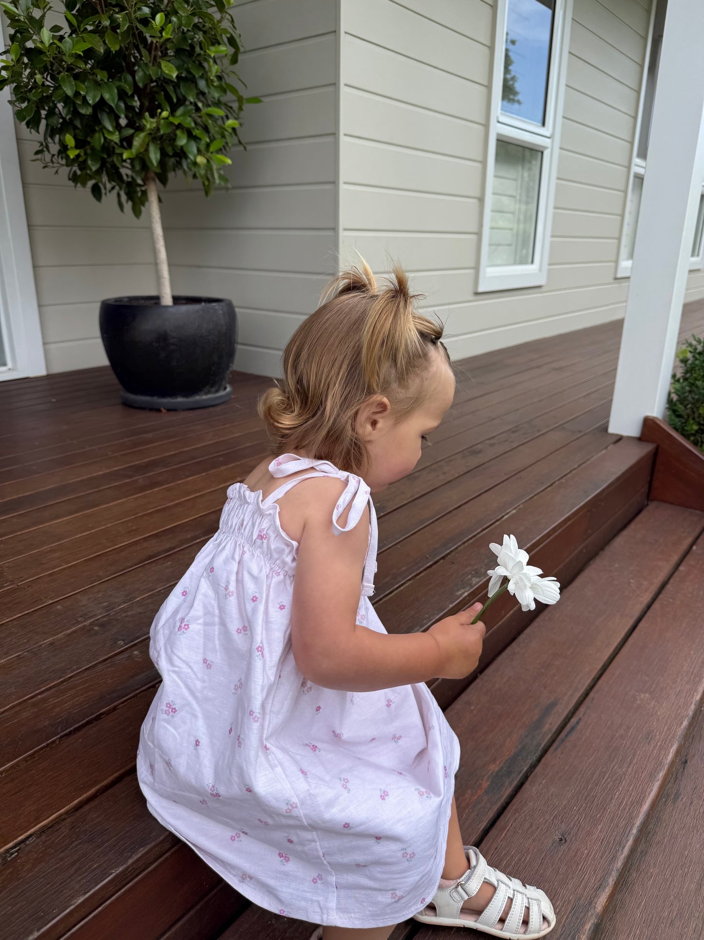 Garden Dress | Floral